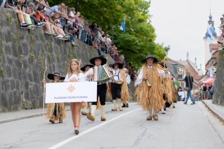 Povorka ob dnevih narodnih noš in oblačilne dedščine (116)